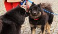 andechs (15)